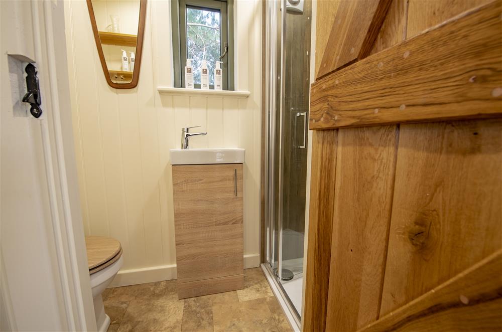 The en-suite shower room with shower, wash basin and WC at Larch Retreat, Blencowe, near Greystoke