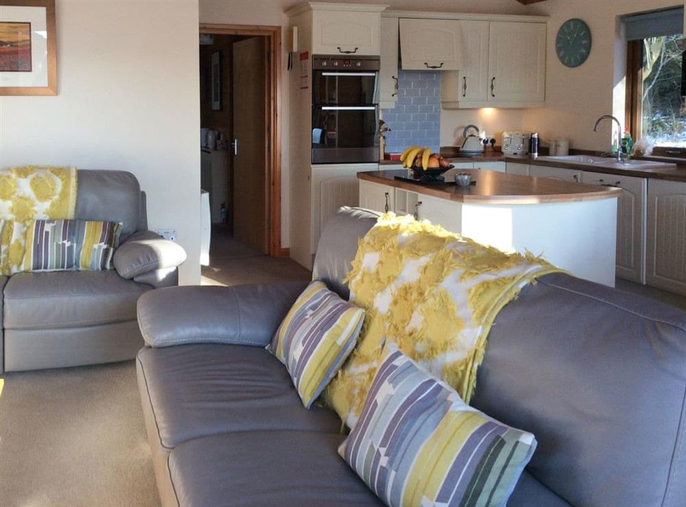 Convenient open-plan living space at Larchwood in Dukes Meadow, near Greystoke, Cumbria