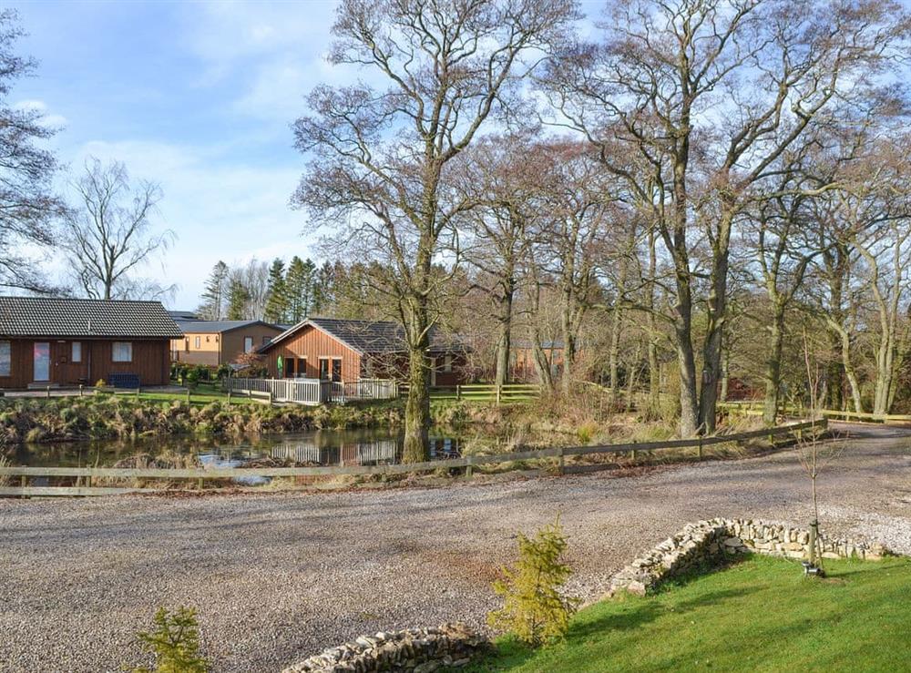 View from property at Larchwood in Dukes Meadow, near Greystoke, Cumbria