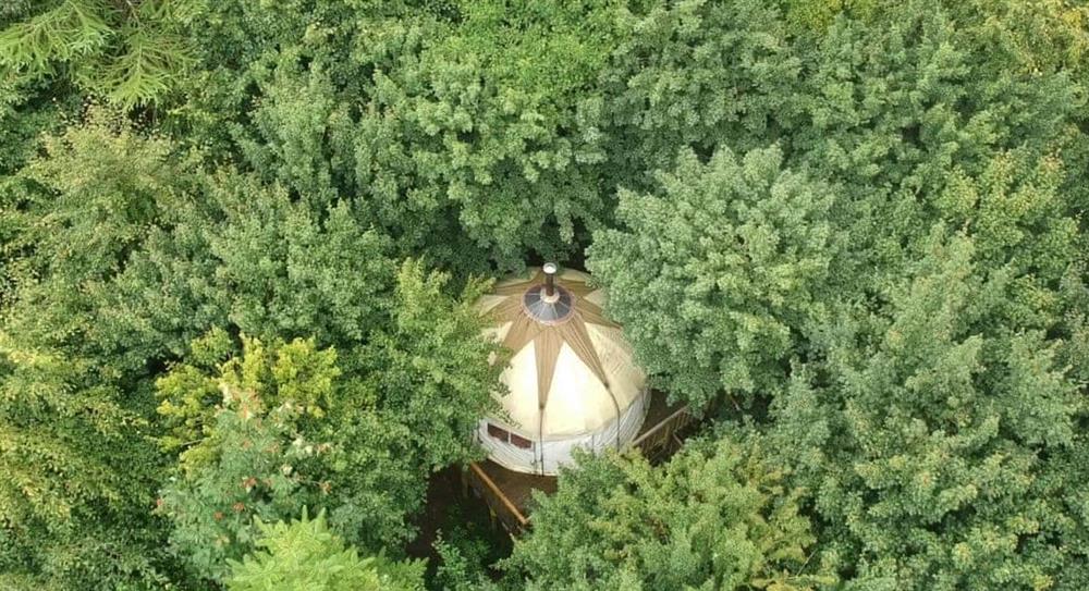 The Bentwood Yurt (photo 4) at The Bentwood Yurt, 