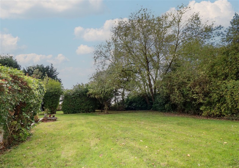 The garden at Larkspur Cottage, Huttoft
