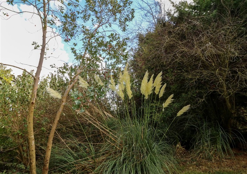 This is the garden (photo 2) at Larkspur Cottage, Huttoft