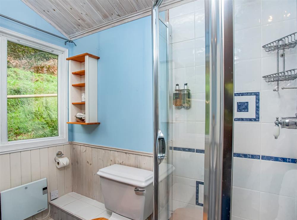 Shower room at Laughing Waters in Chillaton, near Tavistock, Devon