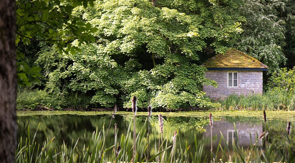 A pond on the Wallington estate, Northumberland at Laundry Cottage in Morpeth, Northumberland