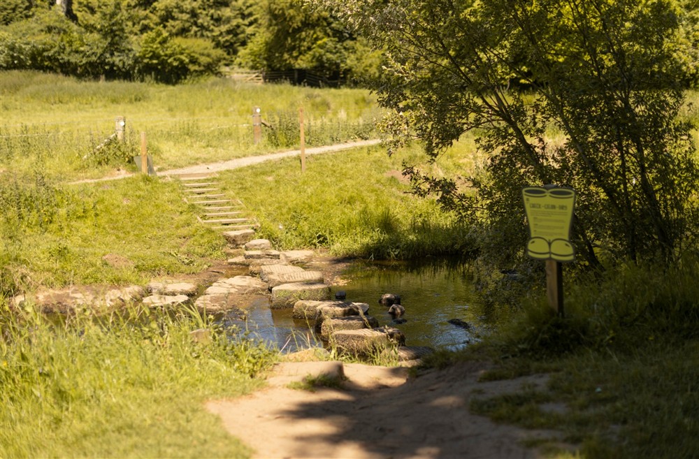Stepping stones on the river walk at Laundry Cottage in Morpeth, Northumberland