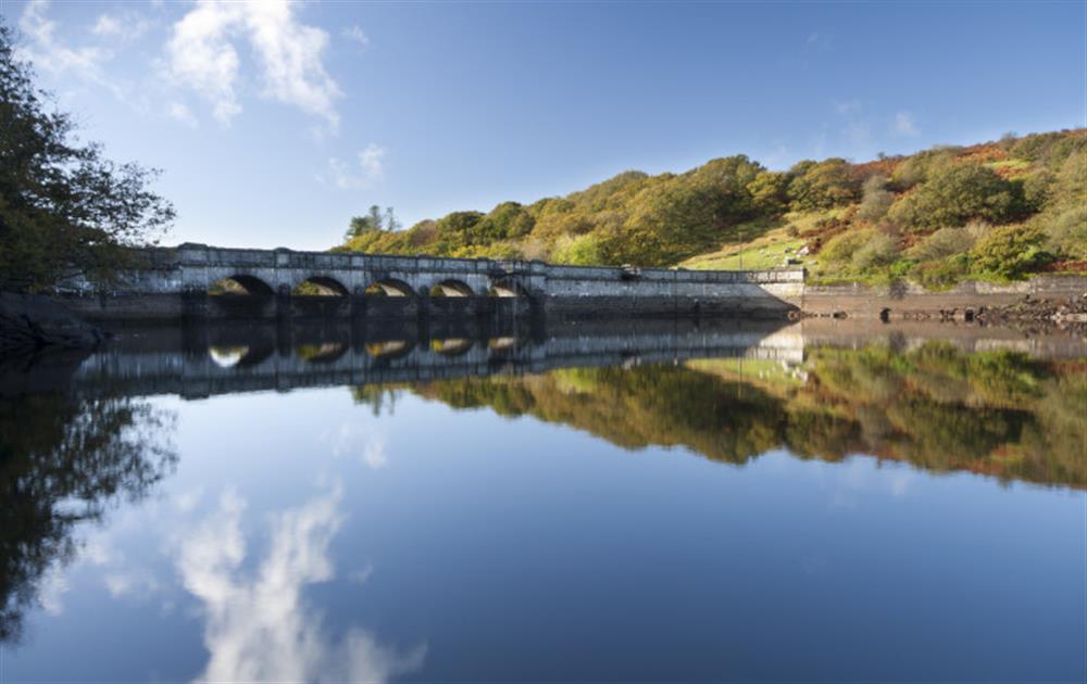 Explore the beautiful Burrator Dam on Dartmoor!