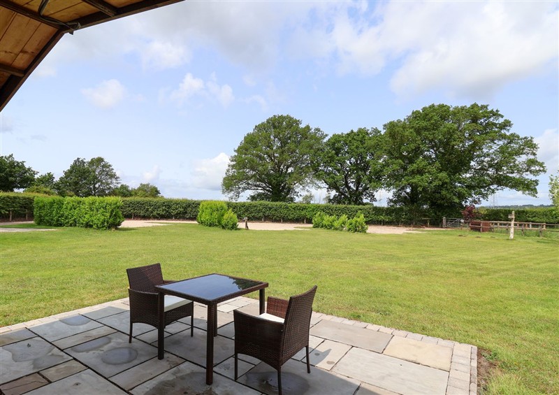 This is the garden at Laurel Lodge, Strensall