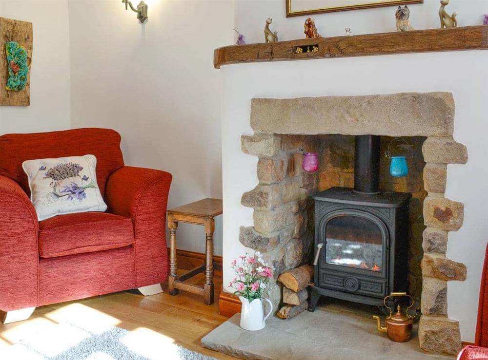 Warming wood burner within living room at Lavender Cottage in Bewerley, near Pateley Bridge, North Yorkshire