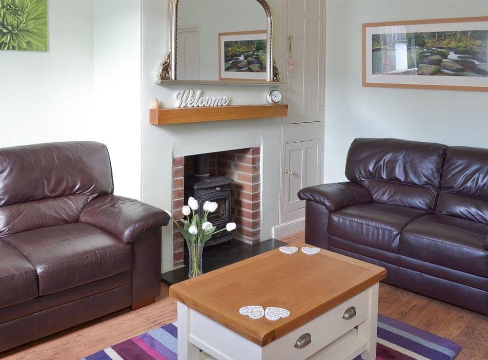 Cosy and inviting living room at Lavender Cottage in Buckfastleigh, Devon