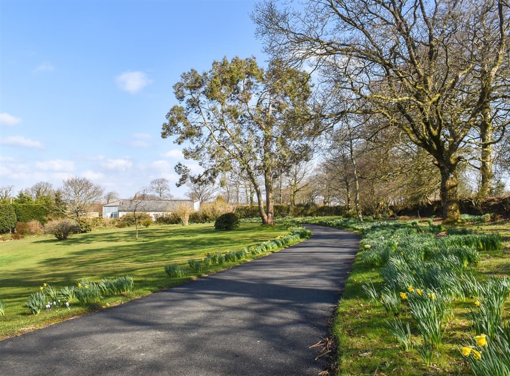 Surrounding area at Lavender Cottage in Inwardleigh, near Okehampton, Devon