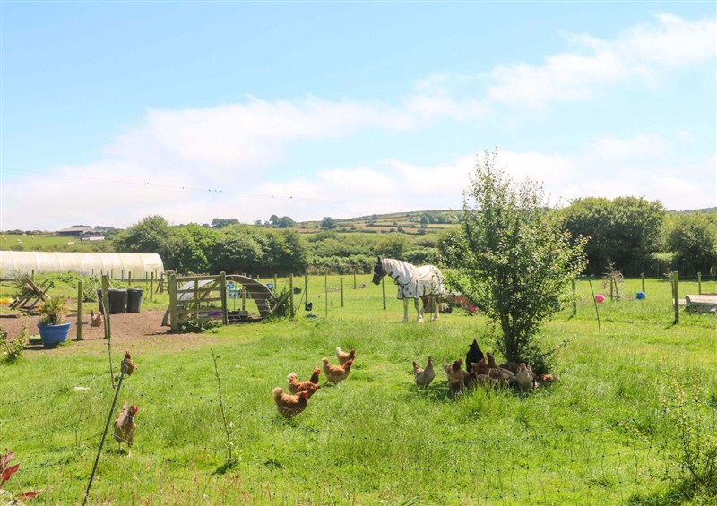 Enjoy the garden at Lavender Cottage, Lower Porkellis near Helston