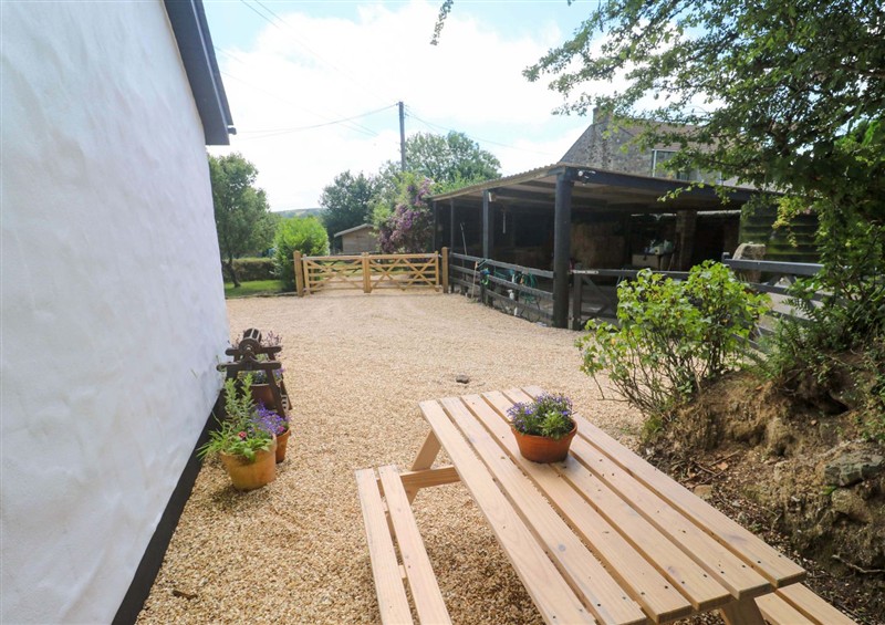 The garden at Lavender Cottage, Lower Porkellis near Helston