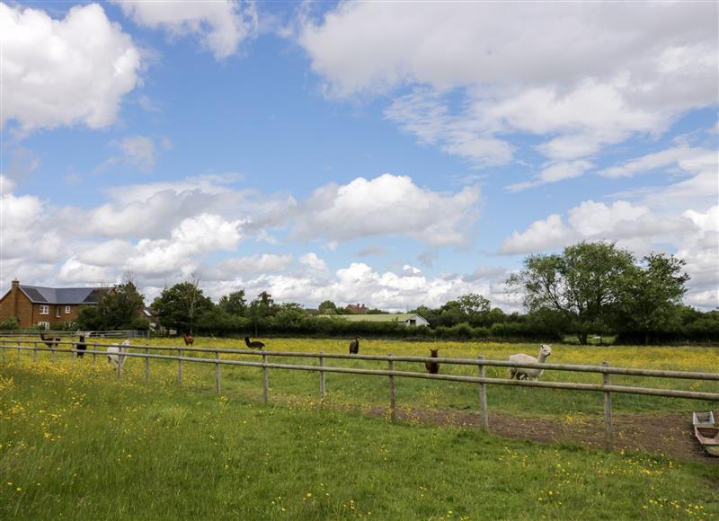 Rural landscape