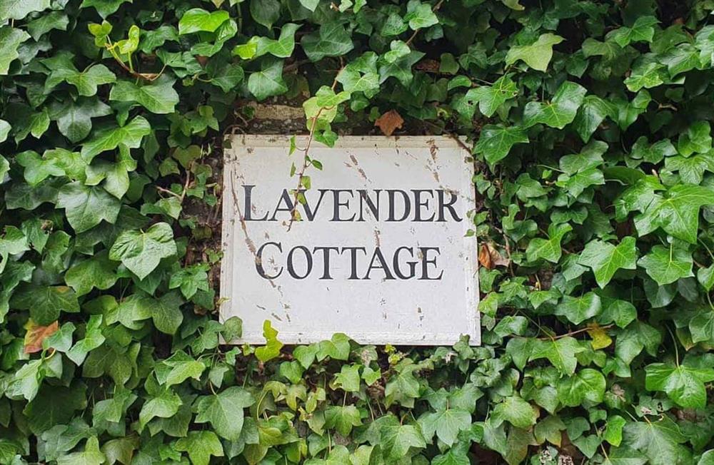 Lavender Cottage (photo 26) at Lavender Cottage in Portscatho, Cornwall
