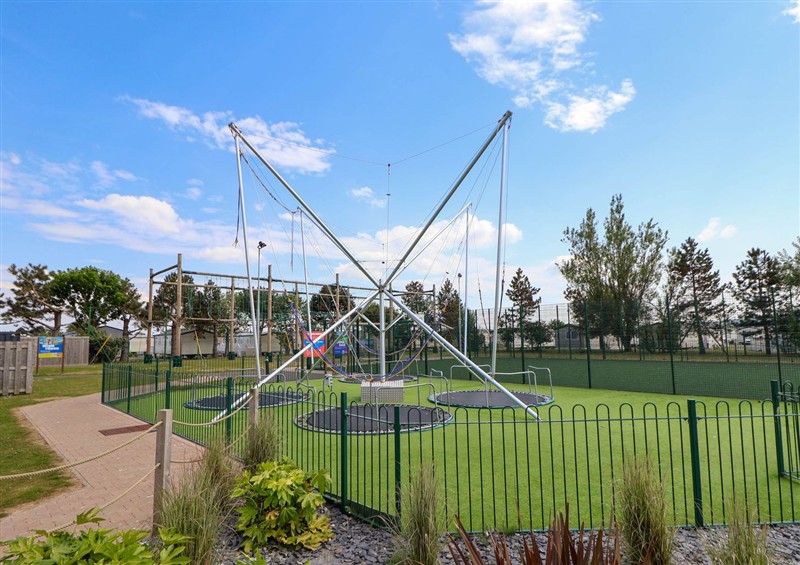 The garden at Lawi39, Towyn
