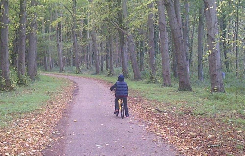 Cycling on the Holkham Estate