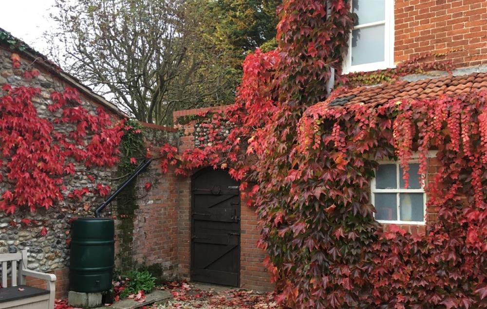 Rear Garden with the Autumn Virginia Creeper at Laylands, Wells-next-the-Sea