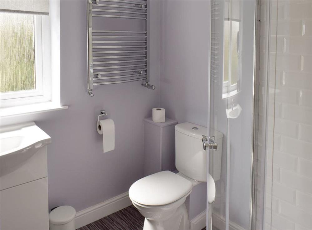 Family bathroom with shower cubicle and bath at Lazenby in Danby Wiske, near Northallerton, North Yorkshire
