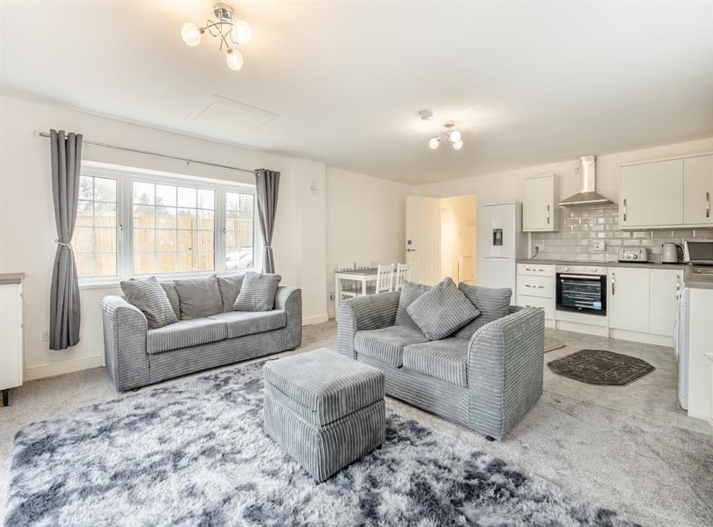Open plan living space at Lazy Acre in Holbeach, Lincolnshire