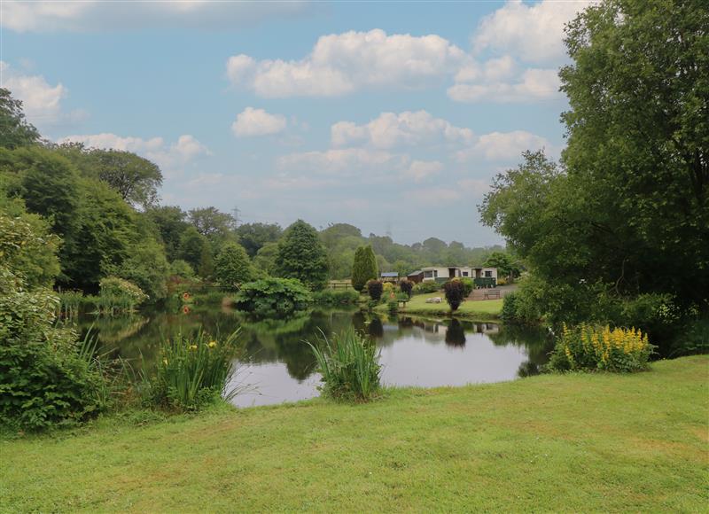 Rural landscape