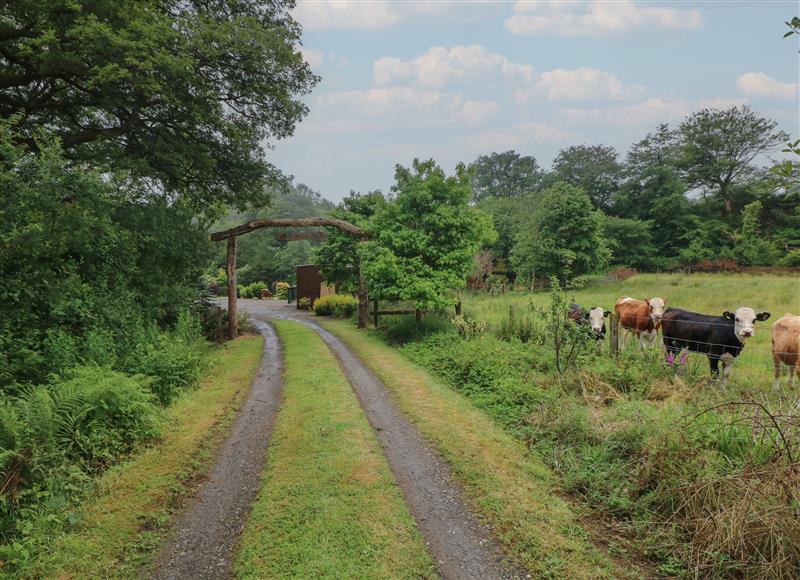 Rural landscape