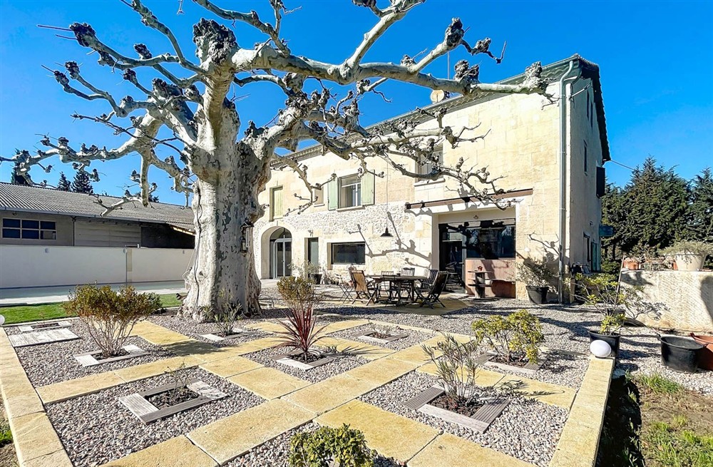 Le Grand Platane