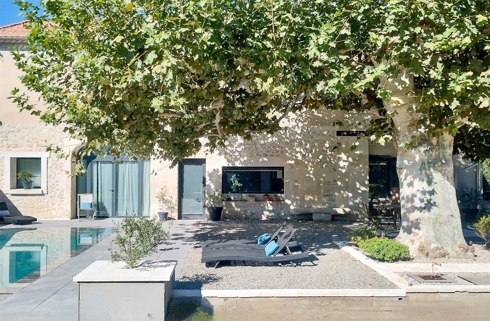 Le Grand Platane