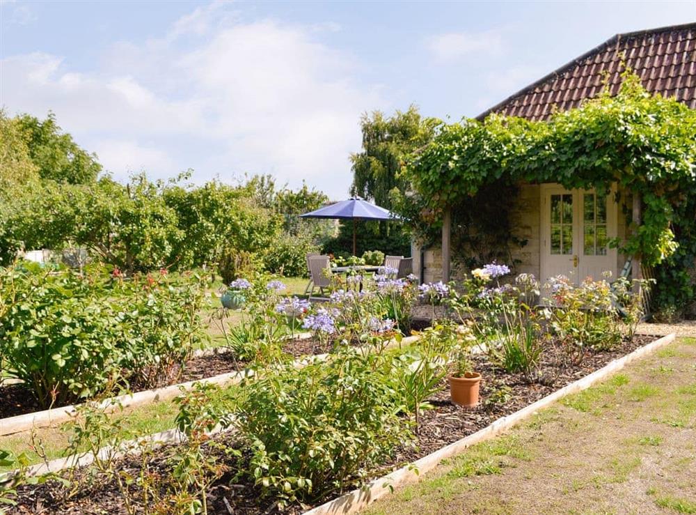 Well-maintained gardens at Le Jardin in Tarlton, Cirencester, Glos., Gloucestershire