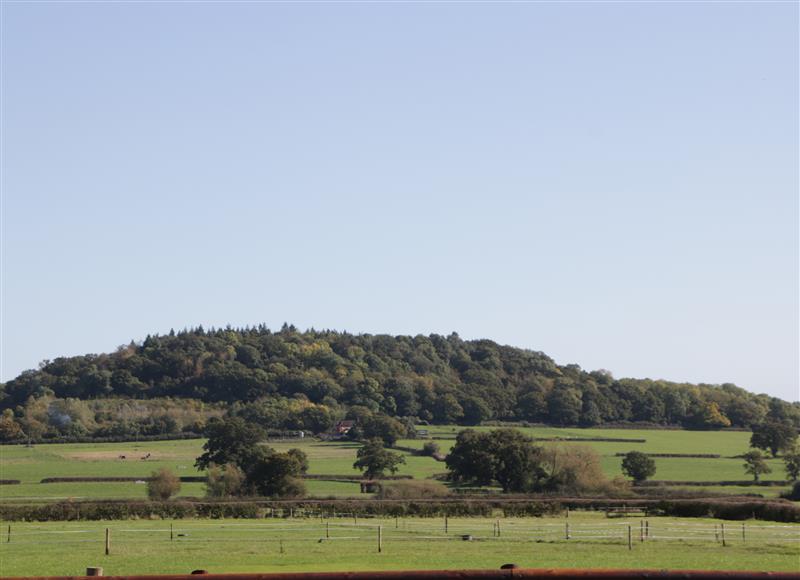 The area around Leadon View Oak