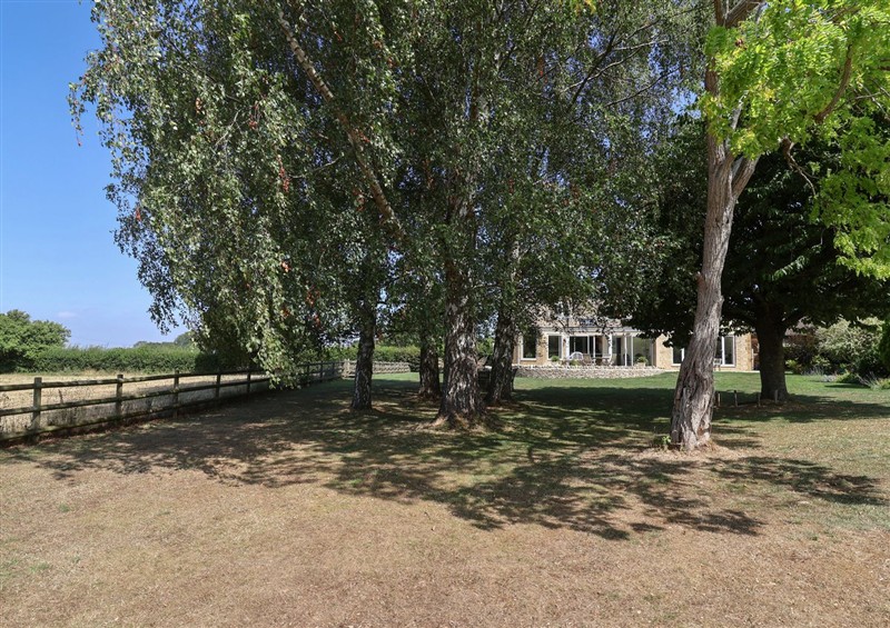 The garden at Leafield Cottage, Brockworth