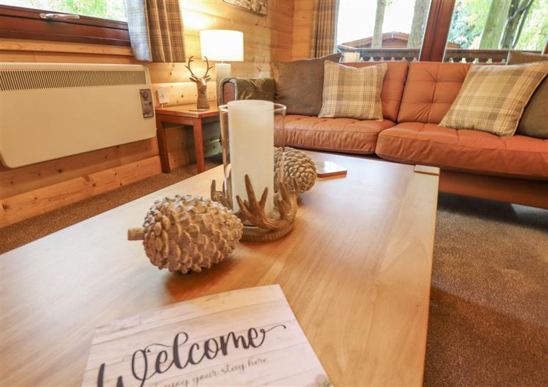 Enjoy the living room at Leafy Hollow Lodge, Louth