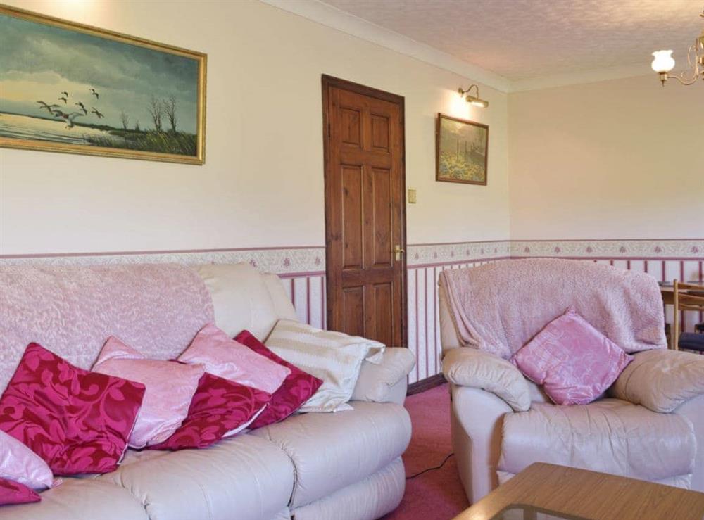 Living room at Leanda Lodge in Burgh Castle, near Great Yarmouth, Norfolk