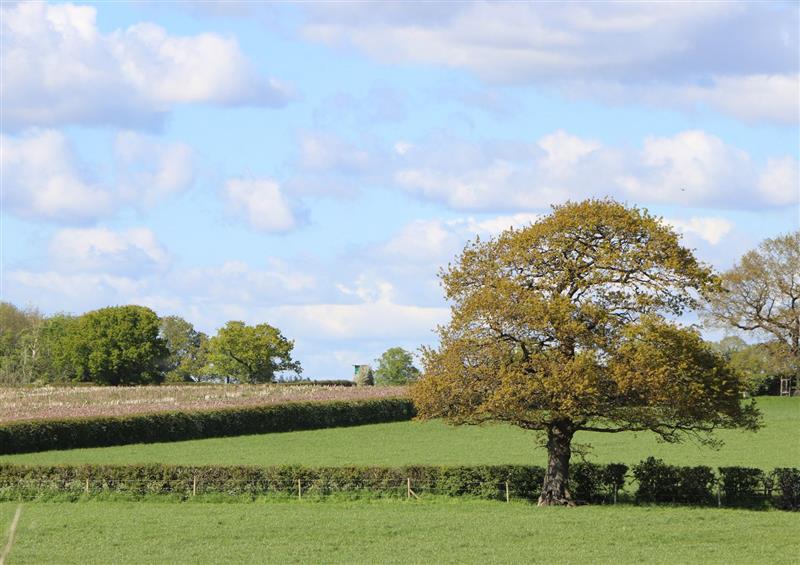 Rural landscape at Legh Oaks Farm, High Legh near Knutsford