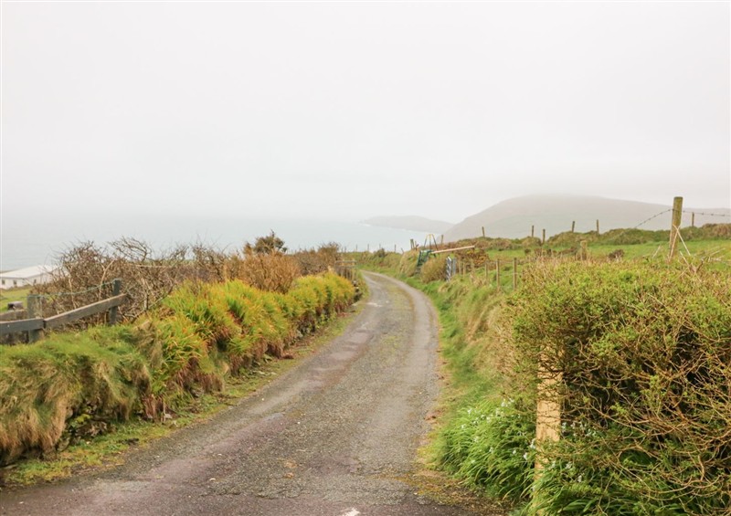 This is the garden at Lehanmore House, Loughane More near Allihies