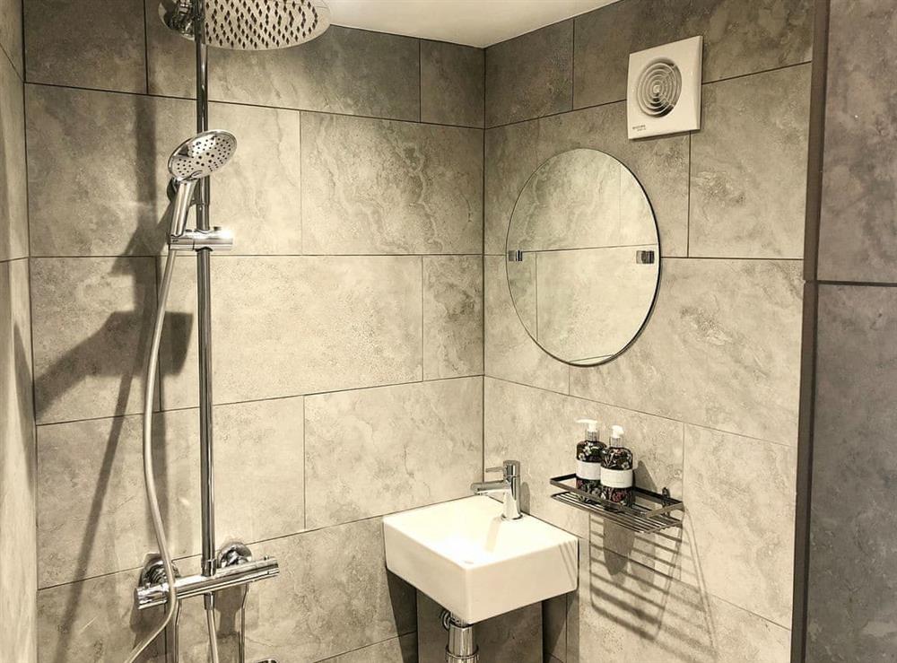 Shower room at Lemon Cottage in Bickington, Devon