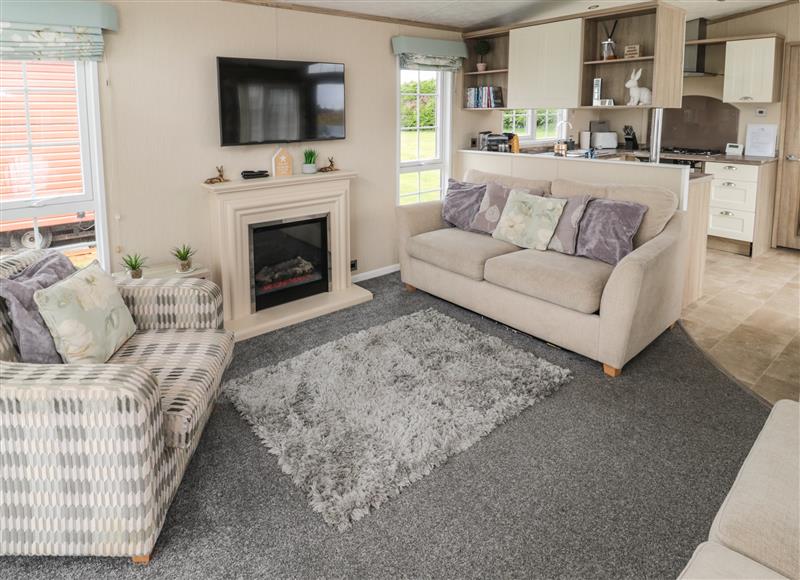 Relax in the living area at Lemon Tree lodge, Felton