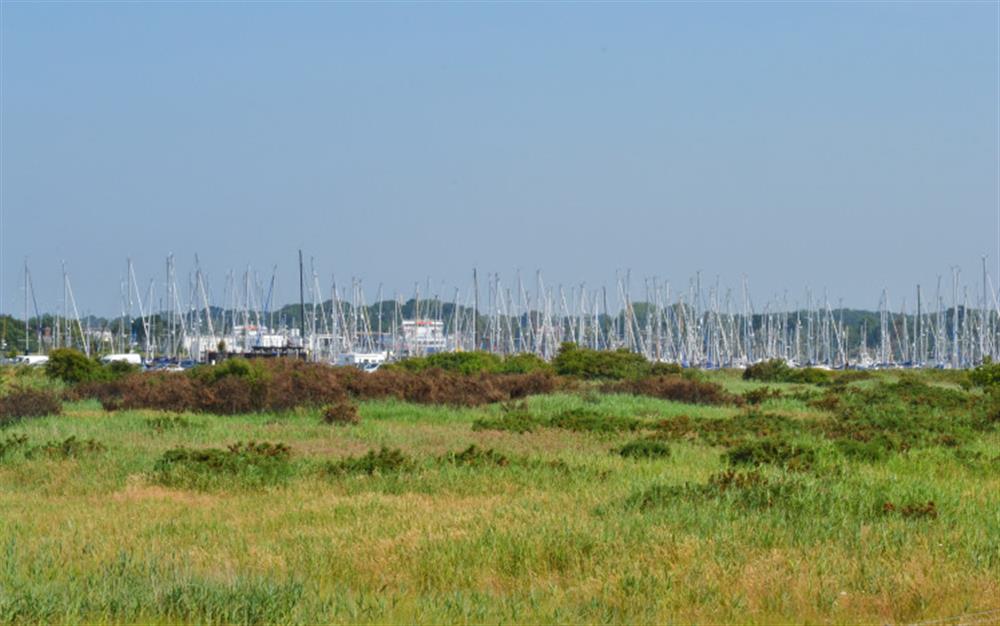 The area around Lentune Cottage at Lentune Cottage in Lymington