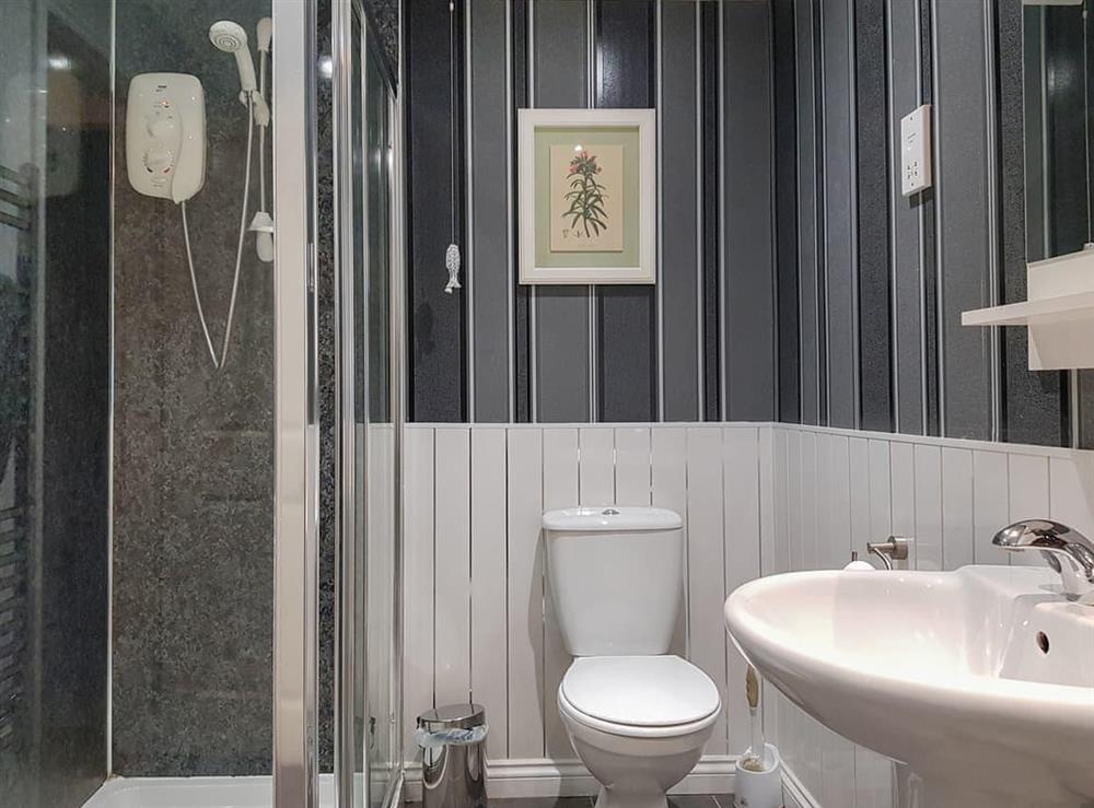 Bathroom (photo 2) at Leven Lodge 2 in Loch Lomond, Dumbartonshire