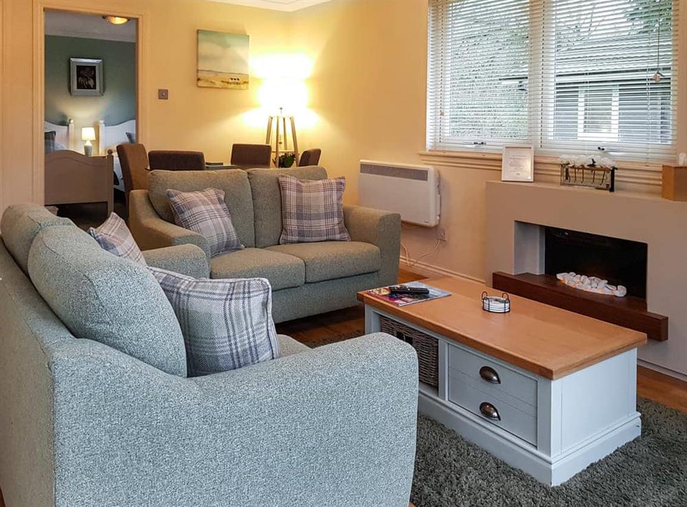 Living area at Leven Lodge 2 in Loch Lomond, Dumbartonshire