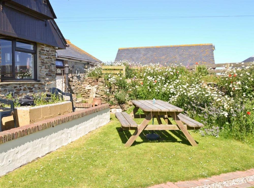 Garden at Lewannick Stable in Cubert, near Holywell Bay, Cornwall