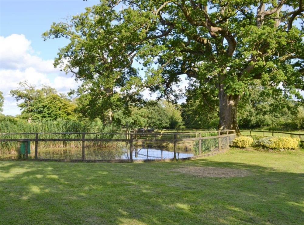 Lawned area with ‘fenced’ pond at Otters Den, 