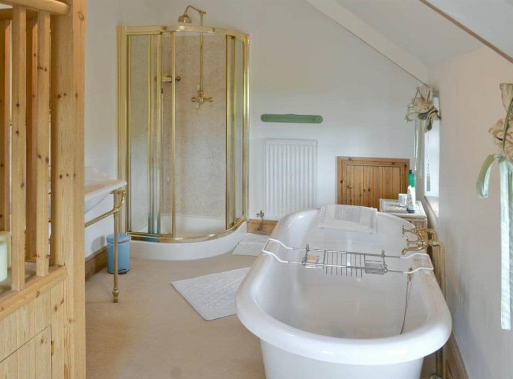 Family bathroom with shower cubicle and roll-top bath at Toad Hall, 