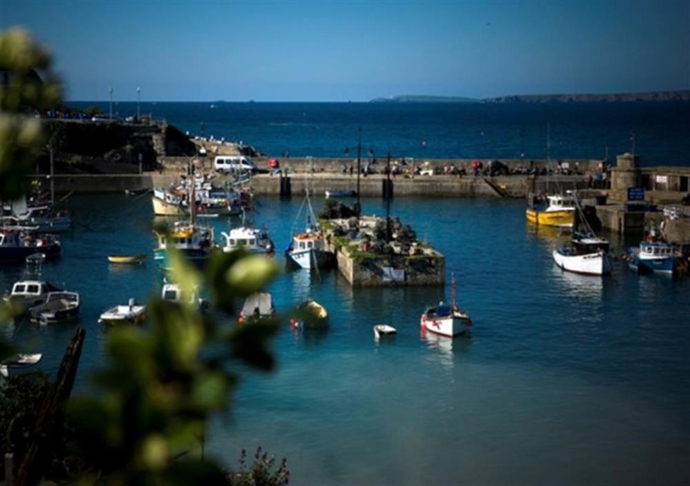 Newquay Harbour