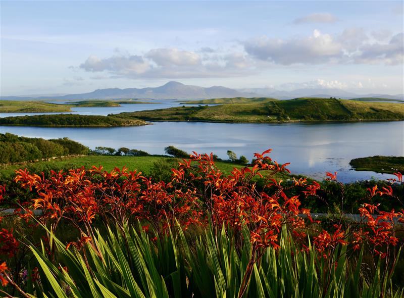 The setting around Lighthouse Hill