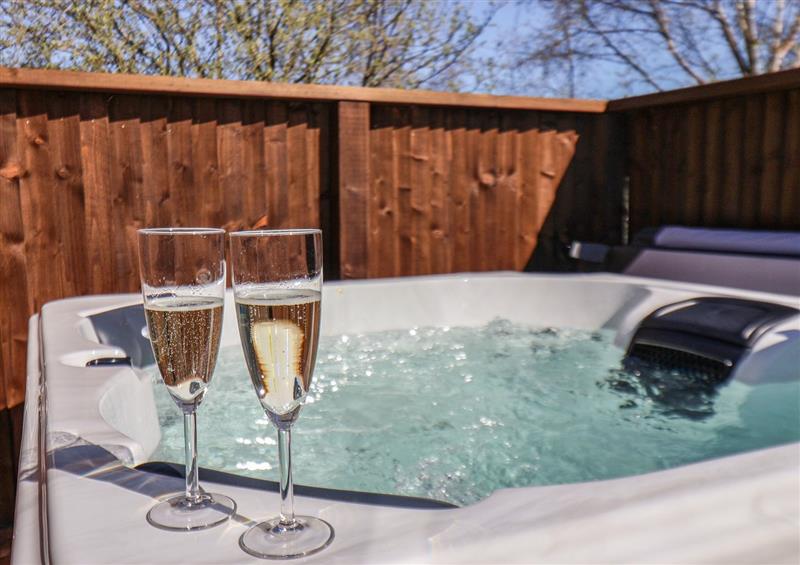 Spend some time in the pool at Lilac Lodge, Runswick Bay near Staithes
