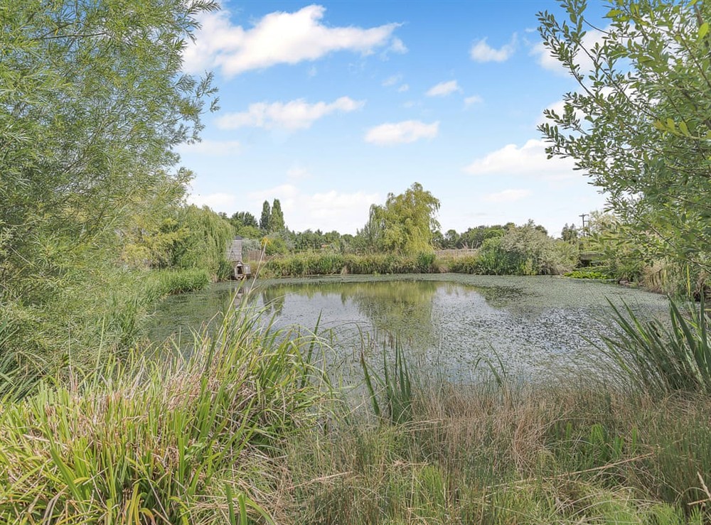 Surrounding area at Lillies Shepherd Hut in Nottingham, Leicestershire