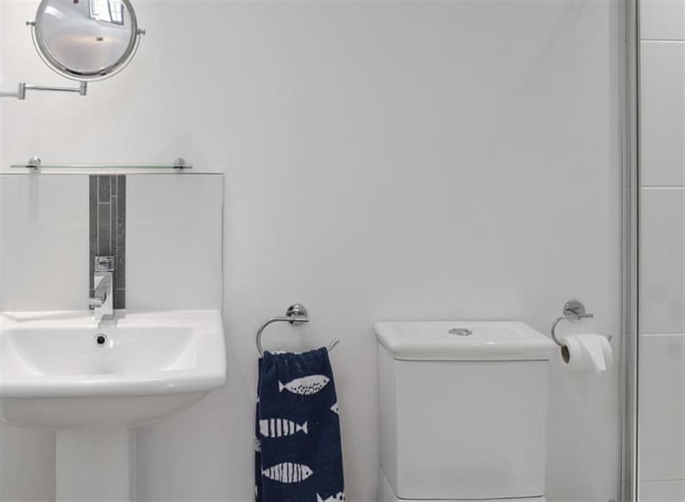 En-suite shower (photo 2) at Lillipit Cottage in Breage, near Helston, Cornwall