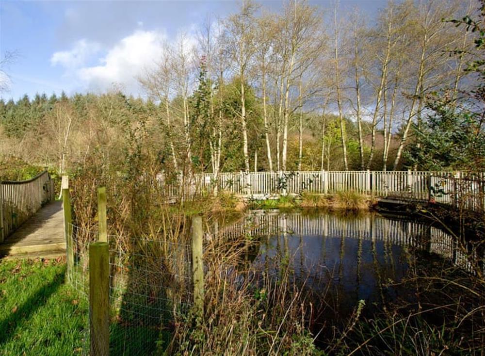 Garden and grounds at Lily in Woodland Retreat, Wadebridge