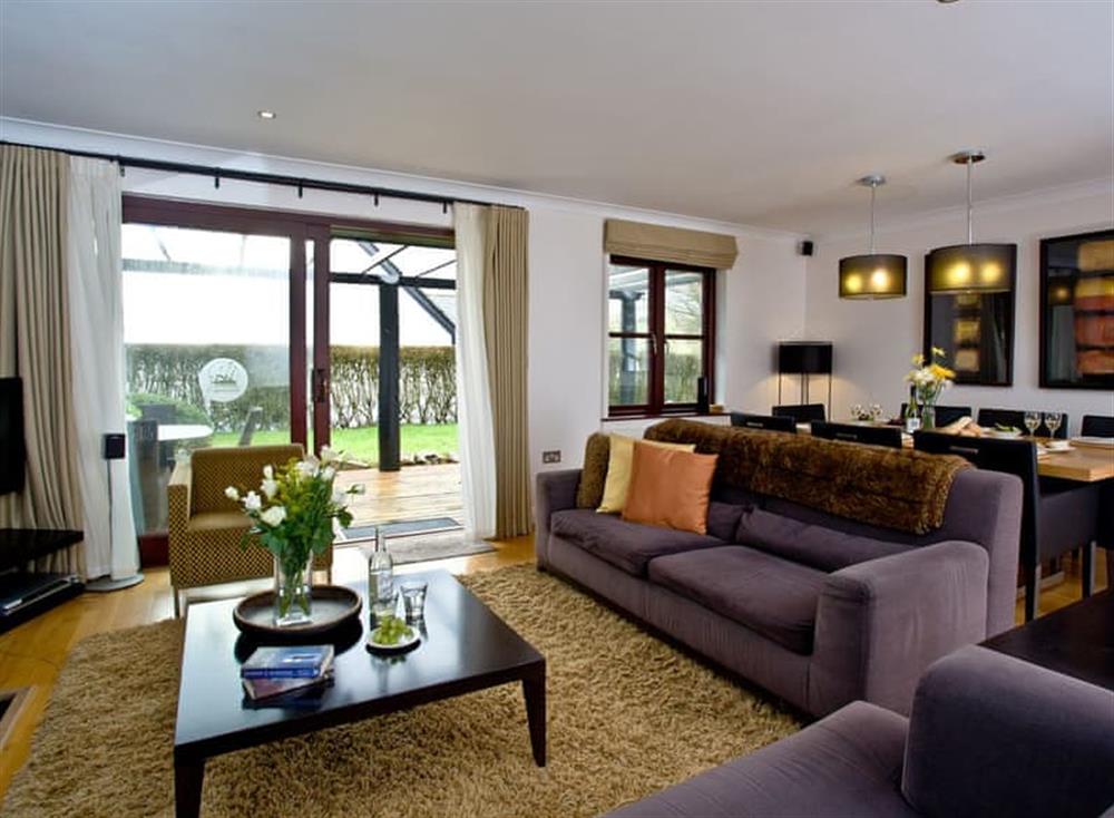 Living area at Lily in Woodland Retreat, Wadebridge