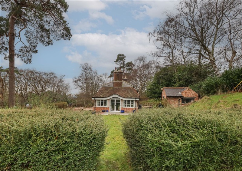 Outside Limberlost Cottage at Limberlost Cottage, near Hamworthy